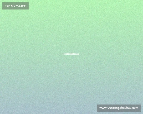 暴雪电子竞技、网易暴雪电竞